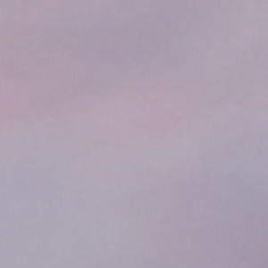 Meet your Posher, Dulce